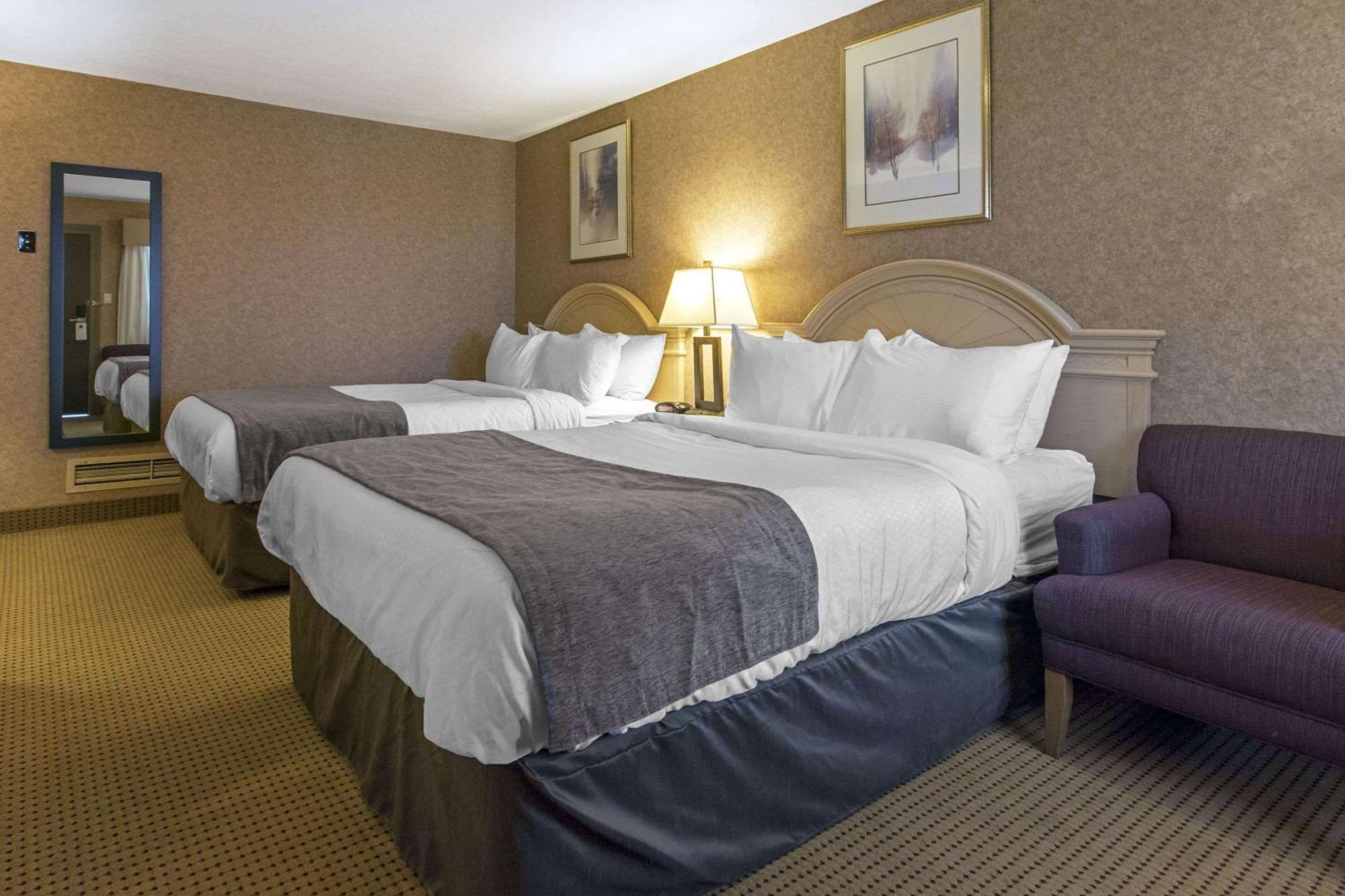 Flamingo Hotel Medicine Hat Kültér fotó