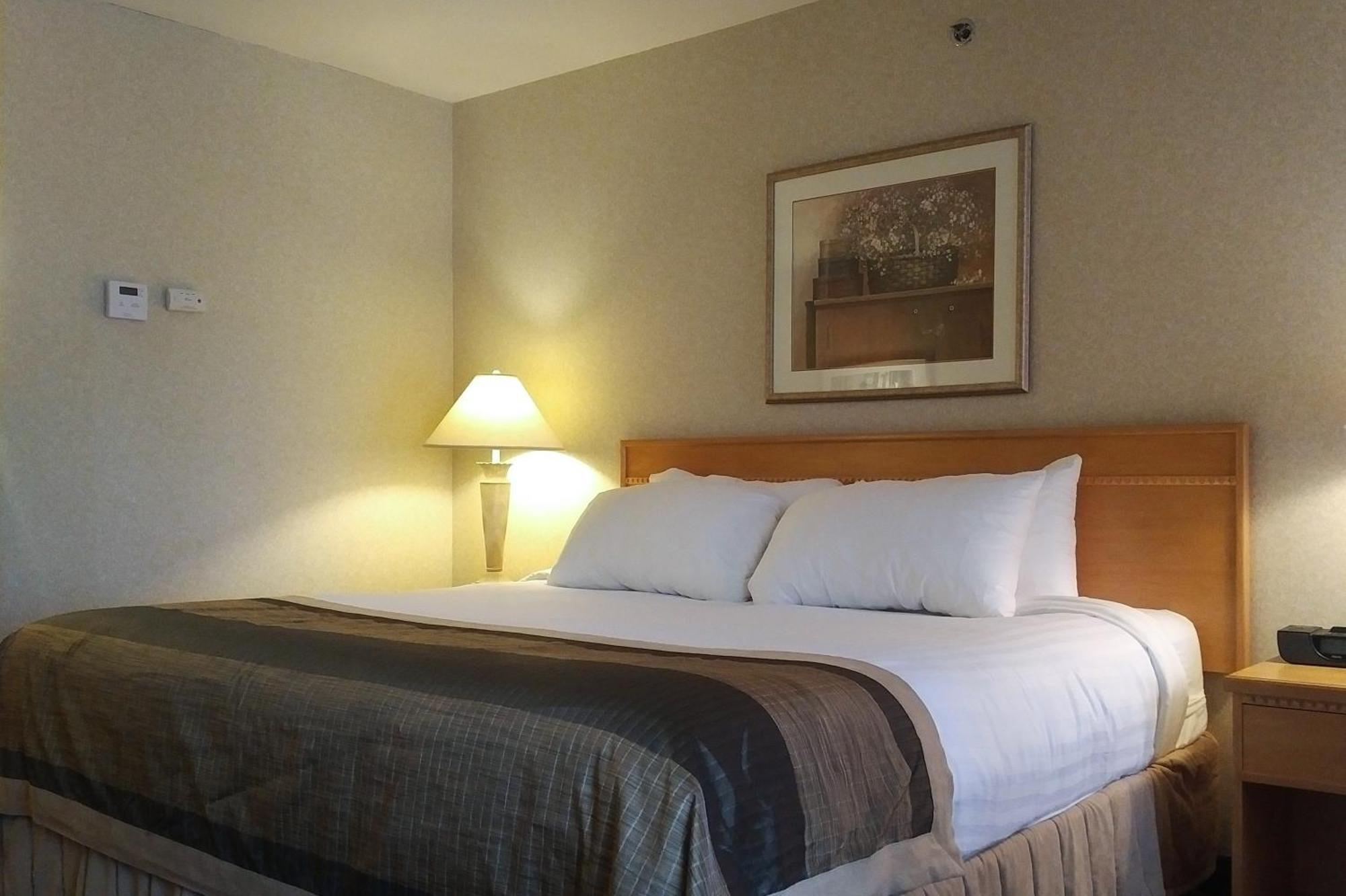 Flamingo Hotel Medicine Hat Szoba fotó